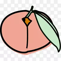 剪贴画png图片水果文件格式开花植物.雪糕-空若网 剪贴画png图片水果文件格式开花植物.雪糕-空若网