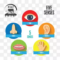 png图片adobe Photoshop图形设计图像.感觉-空若网 png图片adobe Photoshop图形设计图像.感觉-空若网