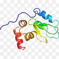 剪贴画有机体线身首饰-空若网 剪贴画有机体线身首饰-空若网