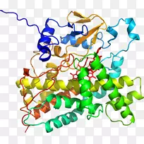 �������ߵ��Ʒ��-������