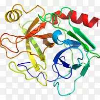 剪贴画线产品点有机体-空若网 剪贴画线产品点有机体-空若网