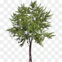 ��ά�ռ�ˮ����-������