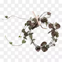 树枝-空若网 树枝-空若网