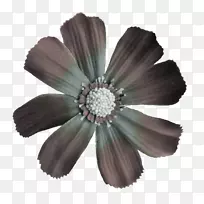 ��ʦ�����0��������-��ʦ-������