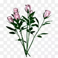 ���л�����������-������