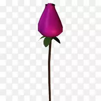 ��Ʒ��Ʋ����ռǻ�������̳-������