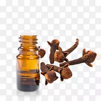 Ӣ��޹�²ݾ���޹�²���С����-������