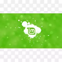 linux mint������������ֽ��ʾ�ֱ��ʱ���-������