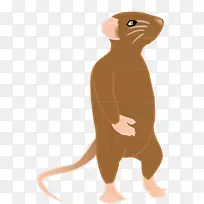 胡须插图电脑鼠标卡通鼻子.青春期-空若网 胡须插图电脑鼠标卡通鼻子.青春期-空若网