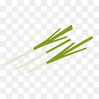 线心葱-空若网 线心葱-空若网