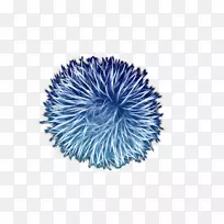 �γ没������Ⱦ֢״����-����-������