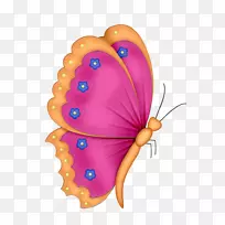 蝴蝶剪贴画插图昆虫-空若网 蝴蝶剪贴画插图昆虫-空若网