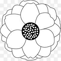 爱迪生螺丝钉白炽灯泡灯发光二极管灯绳及绳-空若网 爱迪生螺丝钉白炽灯泡灯发光二极管灯绳及绳-空若网