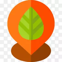 ������Ҷ��Ʒ�����-������