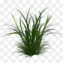 ¼ôÌù»pngͼƬµçÄÔͼ±ê×°ÊβÝ×ÀÃæ±ÚÖ½.Ë®²ÝÆì-¿ÕÈôÍø ¼ôÌù»pngͼƬµçÄÔͼ±ê×°ÊβÝ×ÀÃæ±ÚÖ½.Ë®²ÝÆì-¿ÕÈôÍø