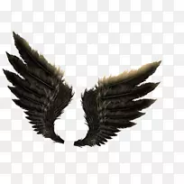 png图片图形图像插图天使-空若网 png图片图形图像插图天使-空若网