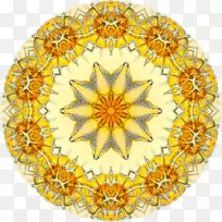 ������JEGS 681434 SSR����ֱ���Ϳ������ɺ����Գ�-Haeckel Muscinae-������