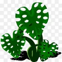 文冠花剪贴画,开花植物-飞龙席尔瓦-空若网 文冠花剪贴画,开花植物-飞龙席尔瓦-空若网