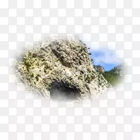 树-空若网 树-空若网