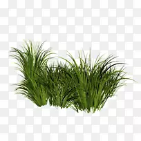 pngͼƬ���������ݹ��Ͳ�ͼ��-������