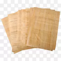 古埃及纸莎草卷轴战卡德什-空若网 古埃及纸莎草卷轴战卡德什-空若网