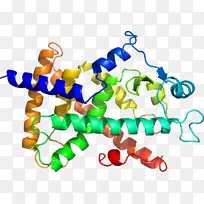 �������л����߶���-������