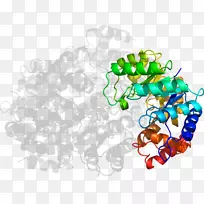 ¼ôÌù»²úÆ·Ê÷-¿ÕÈôÍø ¼ôÌù»²úÆ·Ê÷-¿ÕÈôÍø