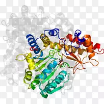 剪贴画系列产品车身首饰.羟基菊花碱-空若网 剪贴画系列产品车身首饰.羟基菊花碱-空若网