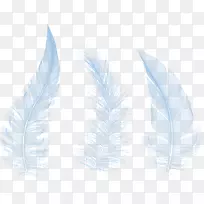 ��ë��Ʒ���Ҷ-������