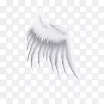 ²±×Ó-¿ÕÈôÍø ²±×Ó-¿ÕÈôÍø