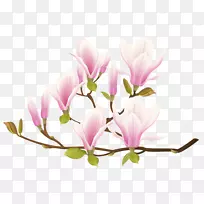 草本植物茎桌面壁纸电脑小枝-空若网 草本植物茎桌面壁纸电脑小枝-空若网