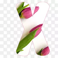 摄影设计图形-空若网 摄影设计图形-空若网