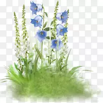 花园玫瑰复活节剪贴画-蓝色花-空若网 花园玫瑰复活节剪贴画-蓝色花-空若网