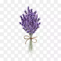 ޹�²ݼ�������Ʋ�ͼ�������뺯-޹�²ݱ�־-������