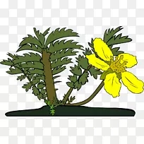 剪贴画图形开放部分png图片图像.花-空若网 剪贴画图形开放部分png图片图像.花-空若网