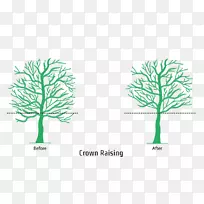 ��֦�޼�����Ҷ��-������