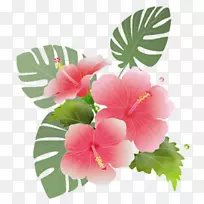 png图片剪辑艺术图像图形下载-空若网 png图片剪辑艺术图像图形下载-空若网