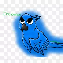 鸟嘴插图、剪贴画、骨字-萨凡纳-空若网 鸟嘴插图、剪贴画、骨字-萨凡纳-空若网