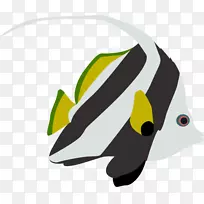 鸟嘴插图昆虫剪贴画汽车珊瑚鱼-空若网 鸟嘴插图昆虫剪贴画汽车珊瑚鱼-空若网