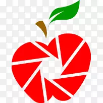 维斯瓦-巴拉蒂大学科学艺术摄影-空若网 维斯瓦-巴拉蒂大学科学艺术摄影-空若网