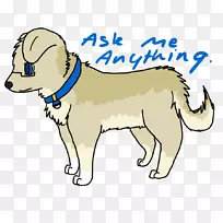 狗繁殖犬夹艺术鼻子-小狗-空若网 狗繁殖犬夹艺术鼻子-小狗-空若网