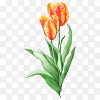 插图-免版税摄影绘画-绘画-空若网 插图-免版税摄影绘画-绘画-空若网