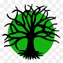 Ҷ���������߶Գ�-Ҷ-������