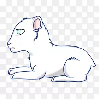 胡须猫狗鼻子猫-空若网 胡须猫狗鼻子猫-空若网