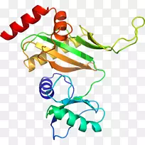 剪贴画有机体线动物-apo-空若网 剪贴画有机体线动物-apo-空若网