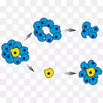 ������ϸ��-������