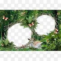 相框安卓摄影-Photoshop-空若网 相框安卓摄影-Photoshop-空若网