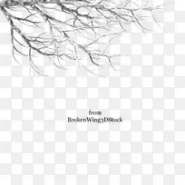 支路png图片剪贴画树枝-空若网 支路png图片剪贴画树枝-空若网