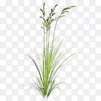 pngͼƬ��������������ͼ������-������-������