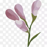 剪贴画植物茎开花植物粉红色m植物美丽的花朵-空若网 剪贴画植物茎开花植物粉红色m植物美丽的花朵-空若网